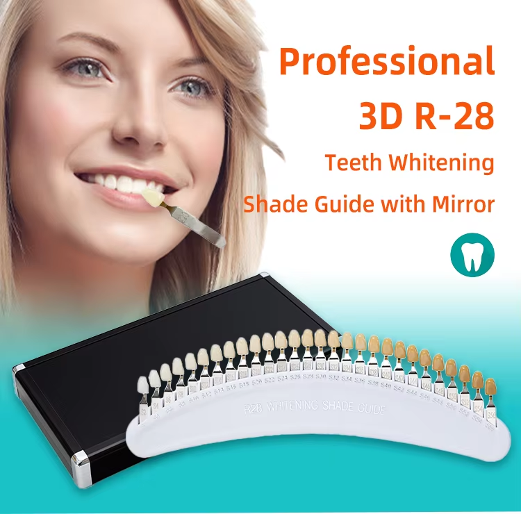 Free Shipping R28Dental Materials 3D Teeth Whitening Shadow Guide Cold Light Whitening Shade Guide