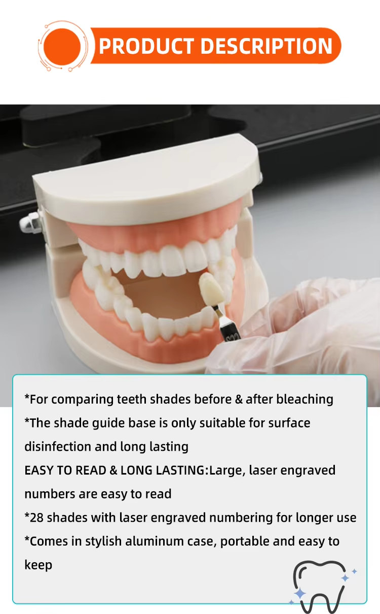 Free Shipping R28Dental Materials 3D Teeth Whitening Shadow Guide Cold Light Whitening Shade Guide