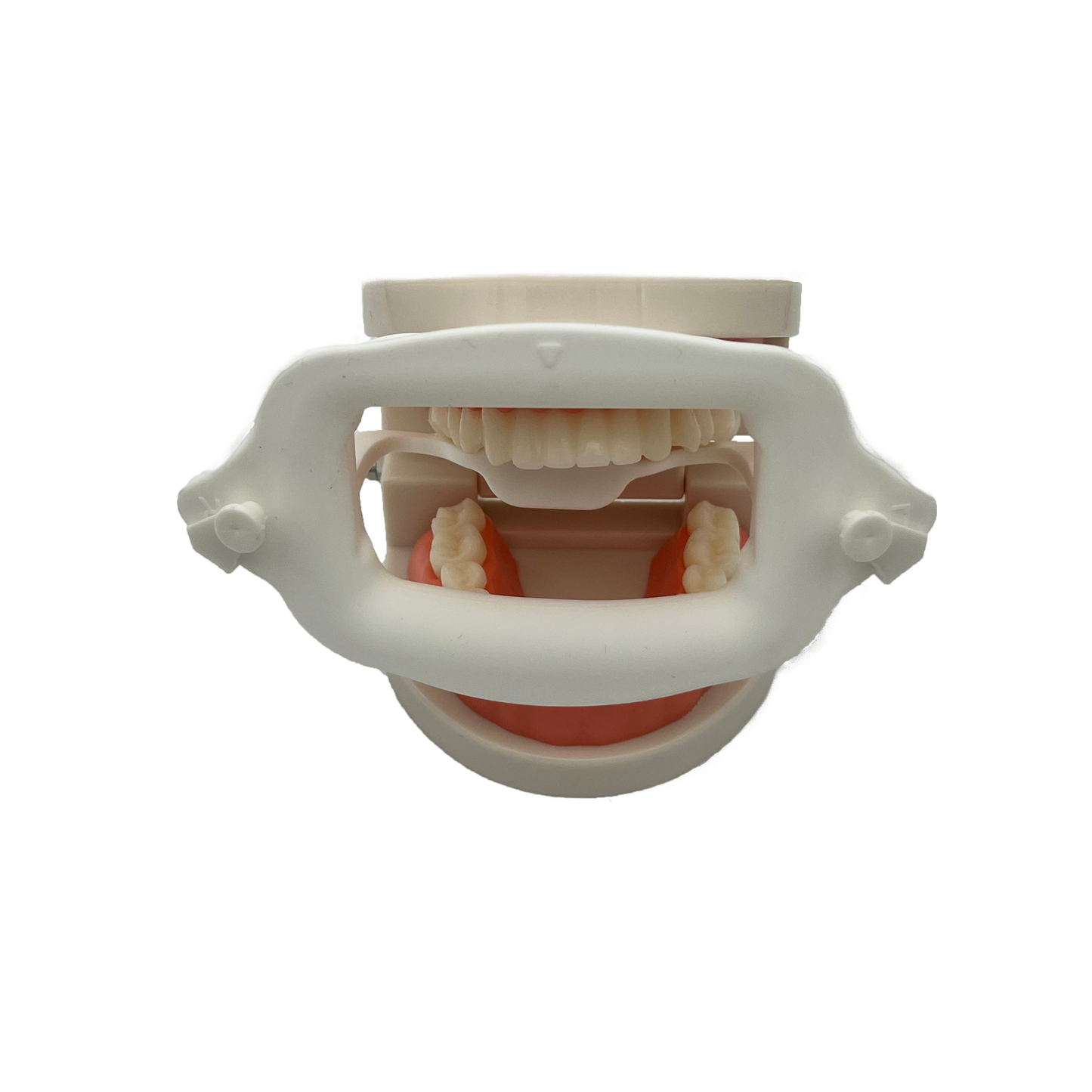 FREE SHIPPING REUSABLE CHEEK RETRACTOR 10PCS/PACK